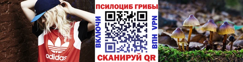 Галлюциногенные грибы Psilocybe  KRAKEN ссылка  Сураж  где продают  
