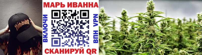 Конопля планчик Сураж